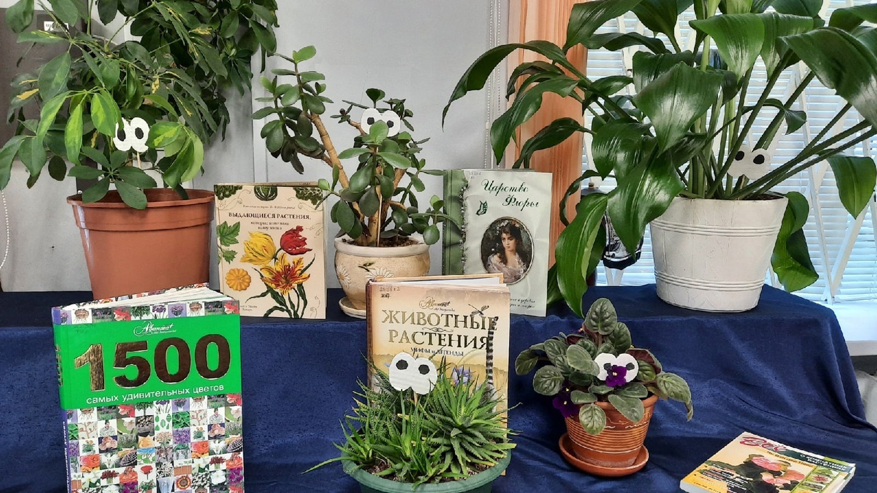 26 июня в библиотеке им. Б. Лавренева (набережная реки Карповки, д.28) прошло интерактивное занятие «Вокруг света с комнатными растениями» в рамках экологического проекта «Зеленая школа». 