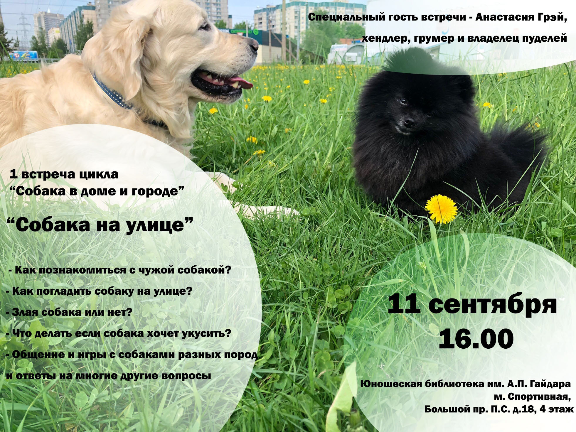 Постер для новости &laquo;Собаки в доме и городе&raquo;