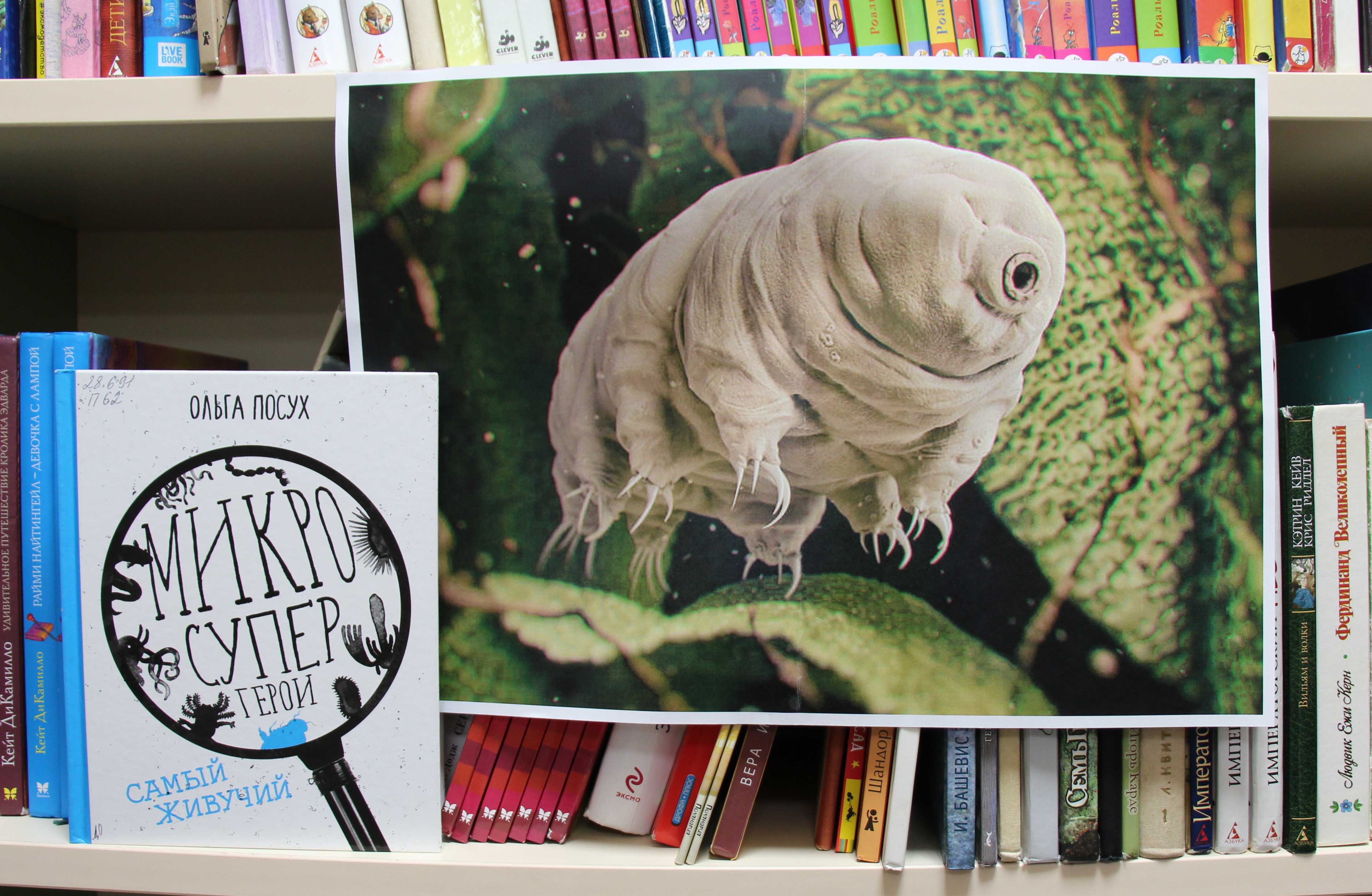 Постер для новости &laquo;Микросупергерои - занятие на платформе Zoom для детей&raquo;