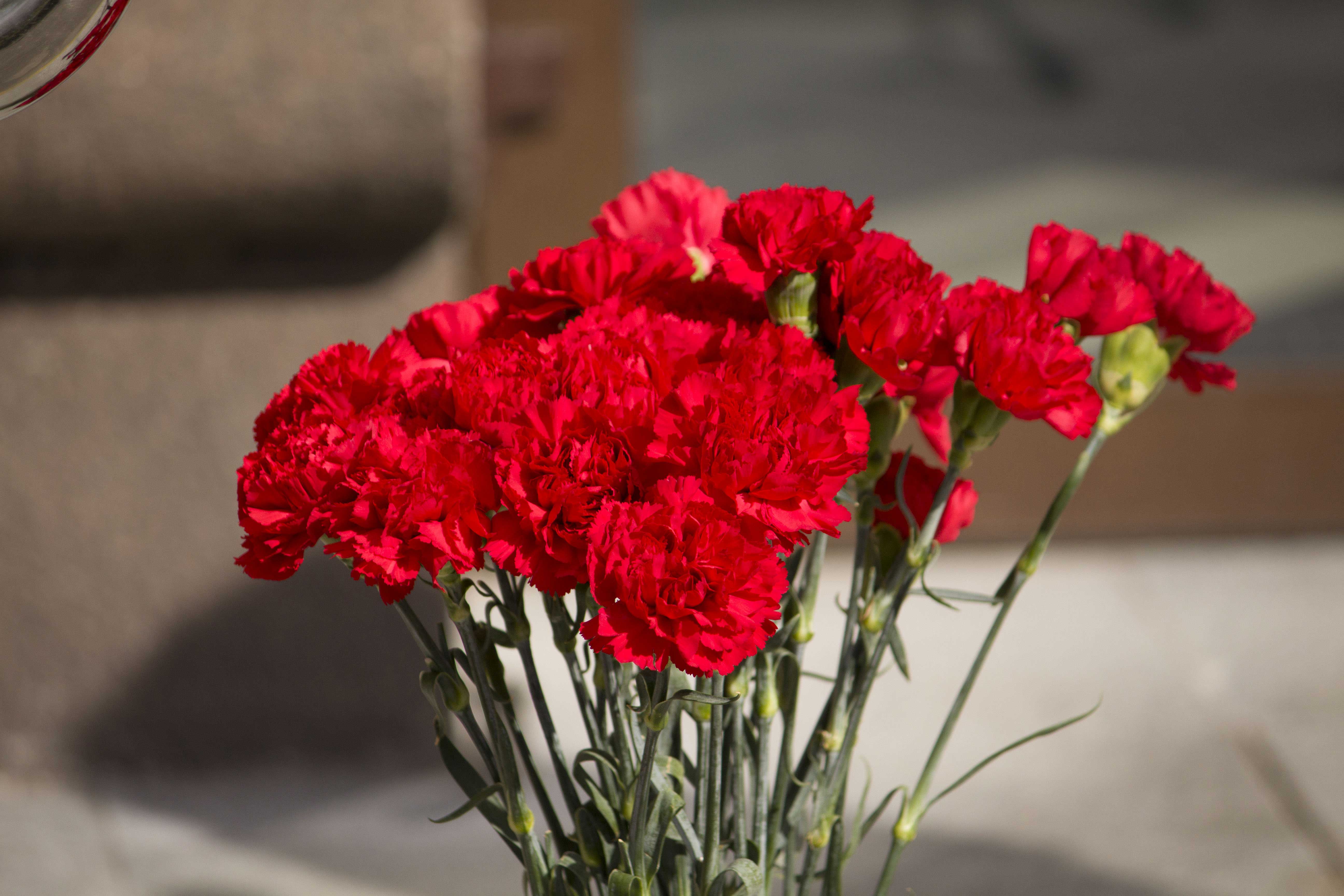 Постер для новости &laquo;Городская акция «8 сентября. День памяти», посвященная Дню памяти жертв блокады Ленинграда&raquo;