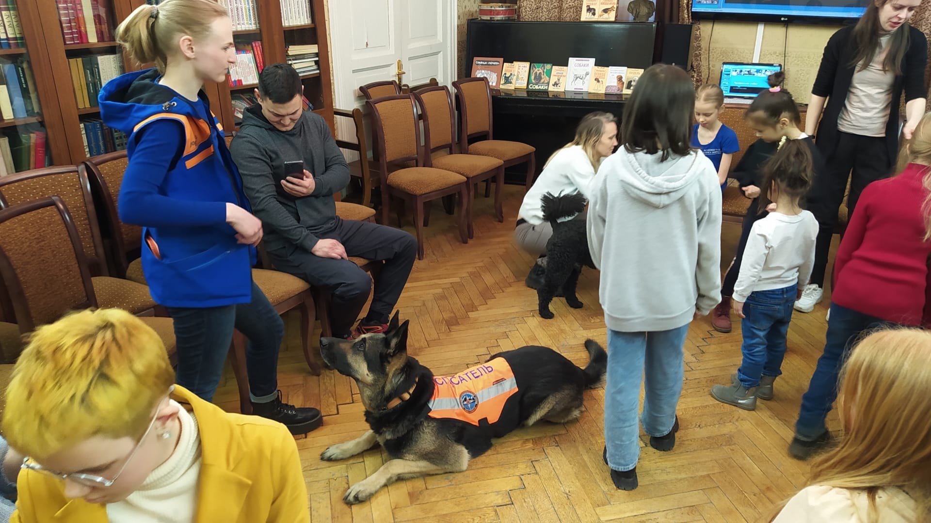 Постер для новости &laquo;Кем работают собаки?&raquo;