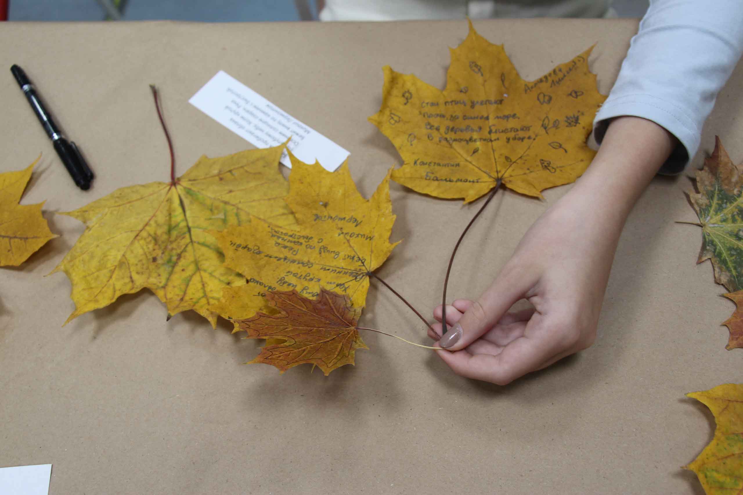В библиотеке можно написать стихи на кленовых листьях