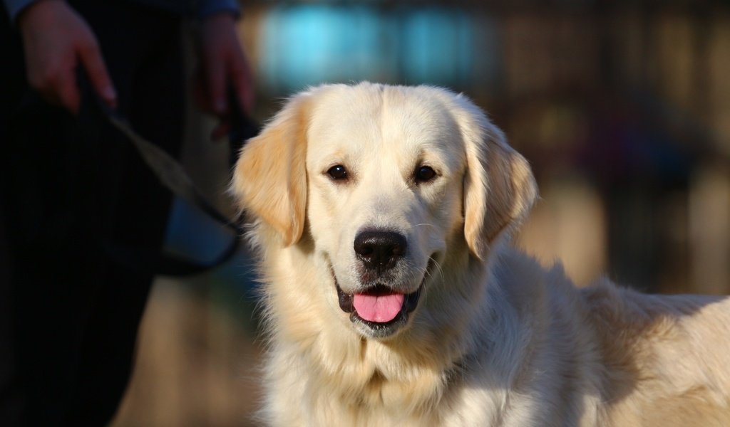 Постер для новости &laquo;Давай, поиграем&raquo;