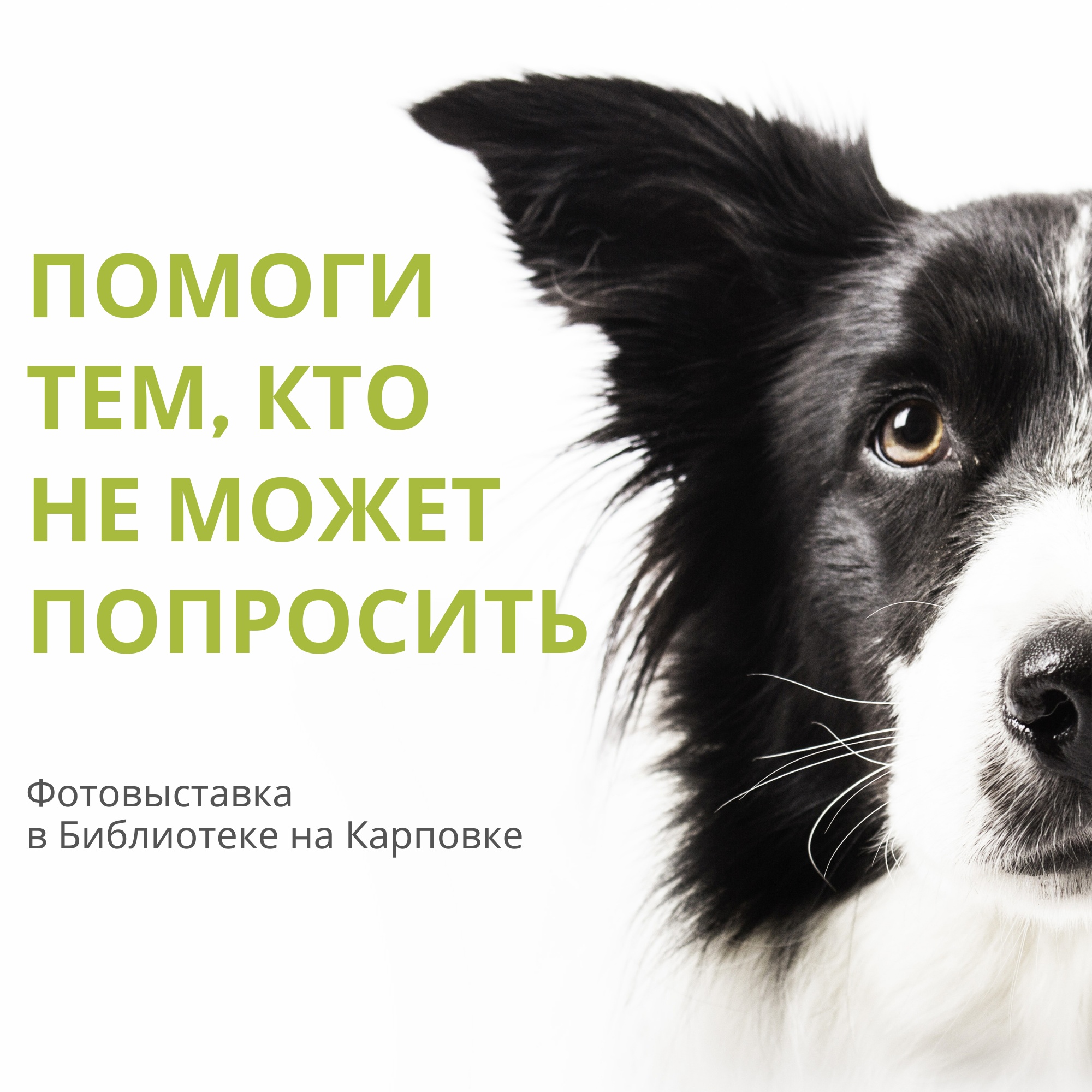 Постер для новости &laquo;Фотовыставка «Помоги тем, кто не может попросить» в Библиотеке на Карповке&raquo;