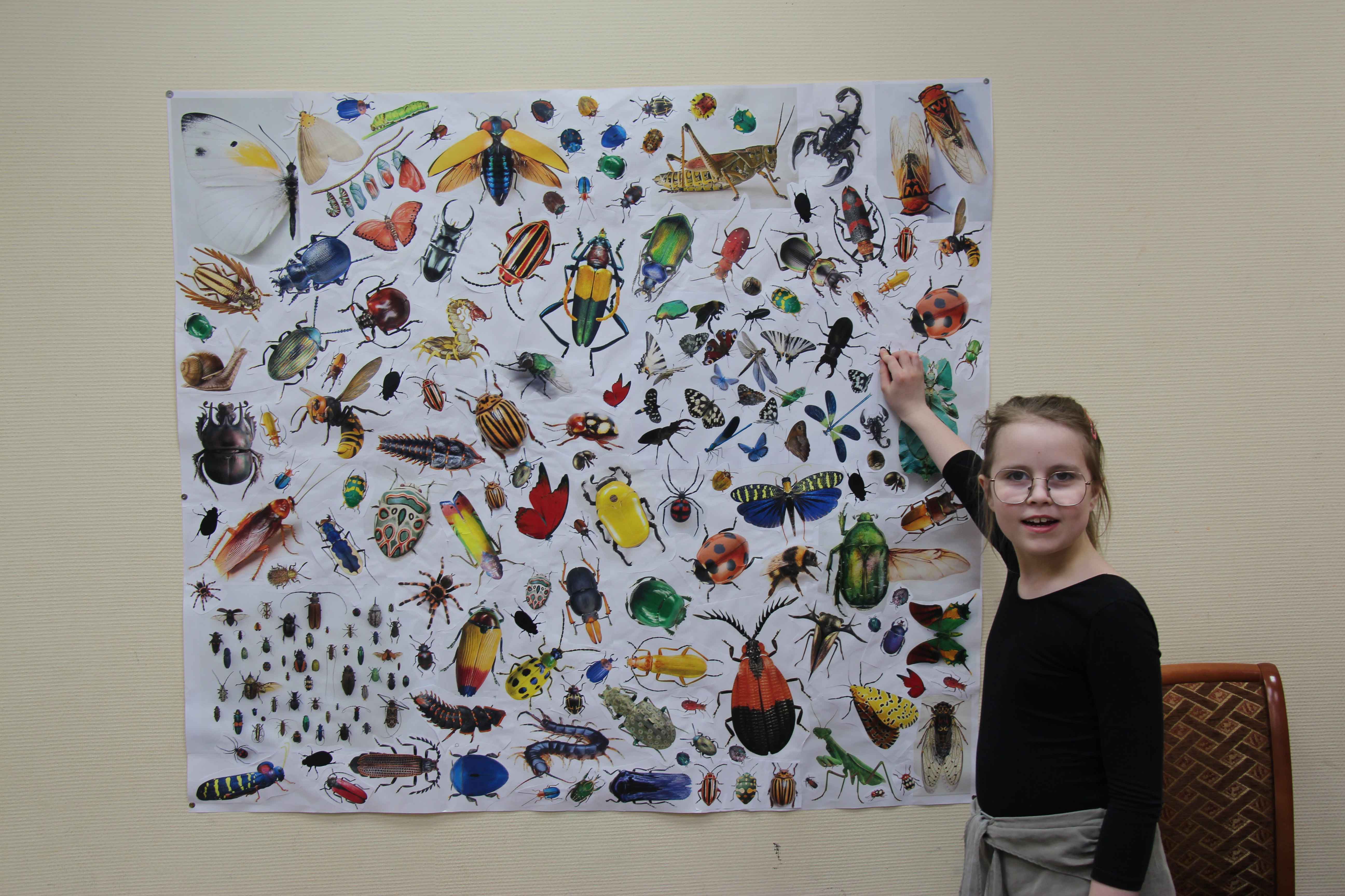 Постер для новости &laquo;Квест 