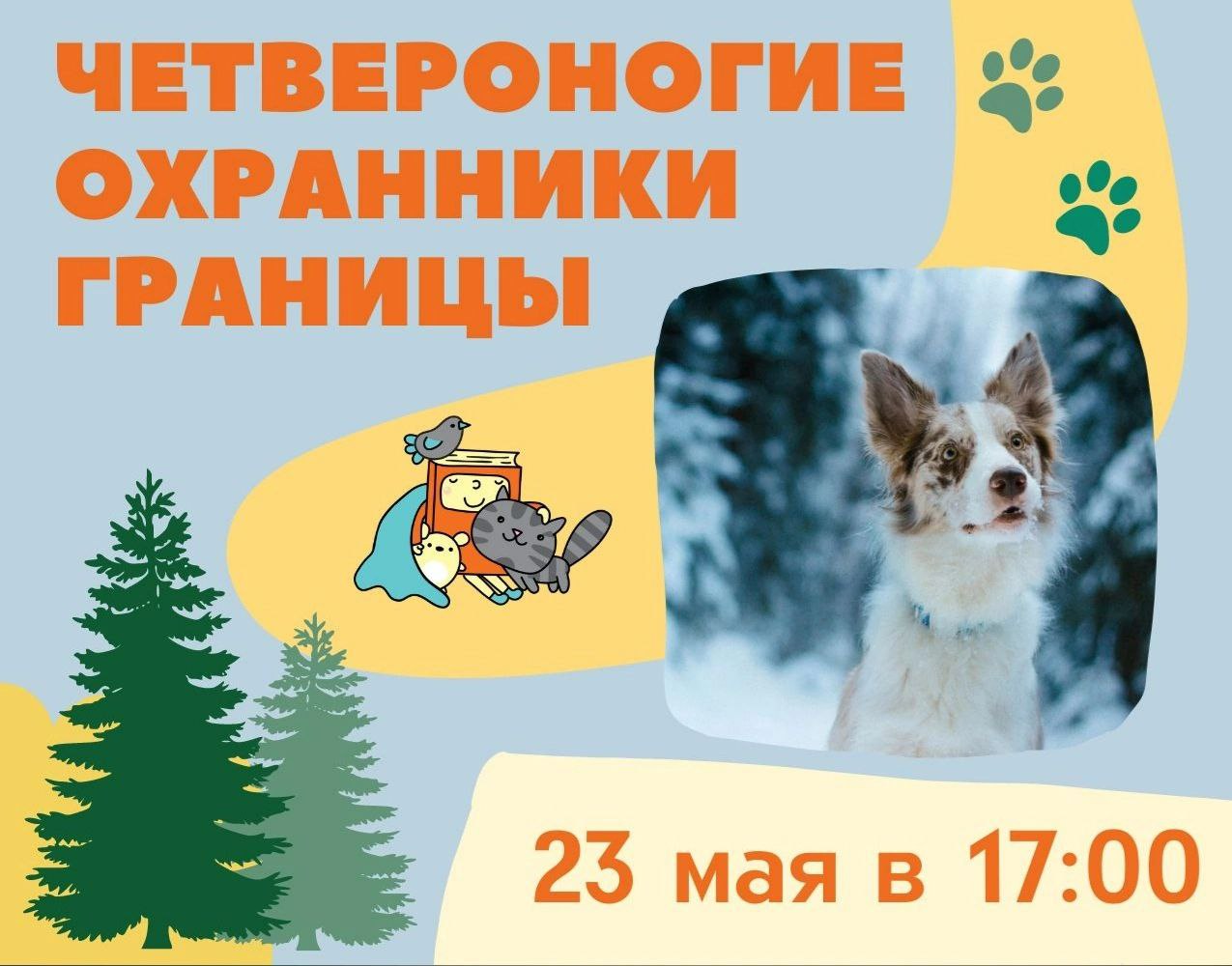 Постер для новости &laquo;Познавательная программа «Четвероногие охранники границы», посвященная Дню пограничника&raquo;