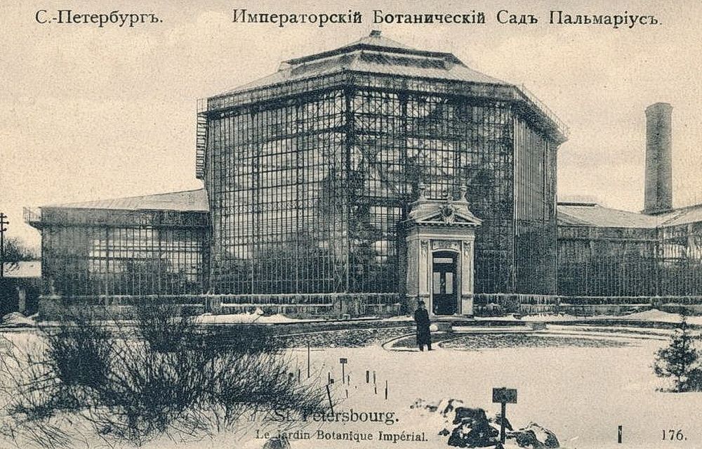 Постер для новости &laquo;Фармацевтика и медицина в петровском Петербурге&raquo;