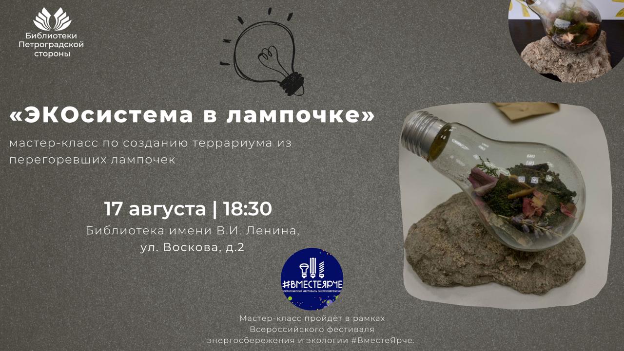 Постер для новости &laquo;Мастер-класс «ЭКОсистема в лампочке»&raquo;