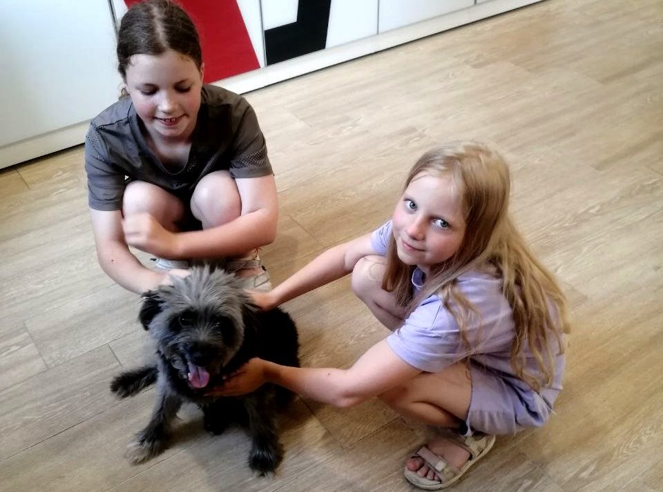 Постер для новости &laquo;Встреча с волонтерами приюта для животных в библиотеке Ленина&raquo;