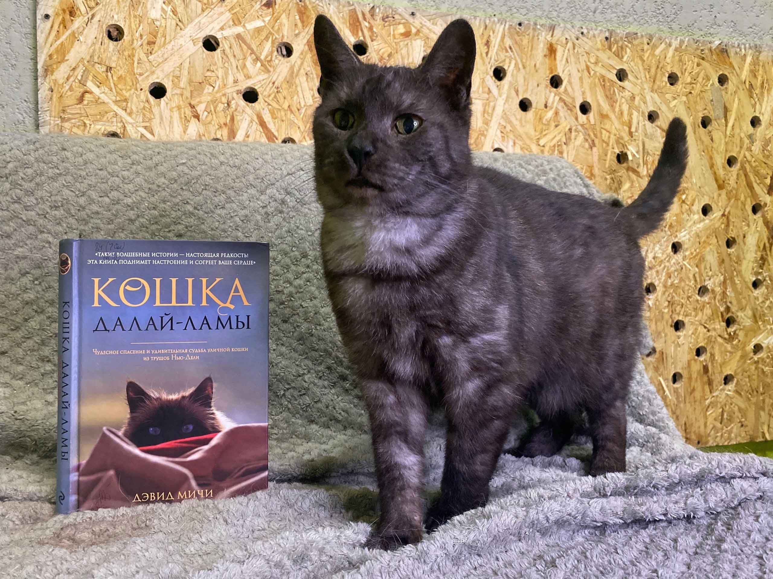 Постер для новости &laquo;В библиотеке прошел благотворительный марафон 