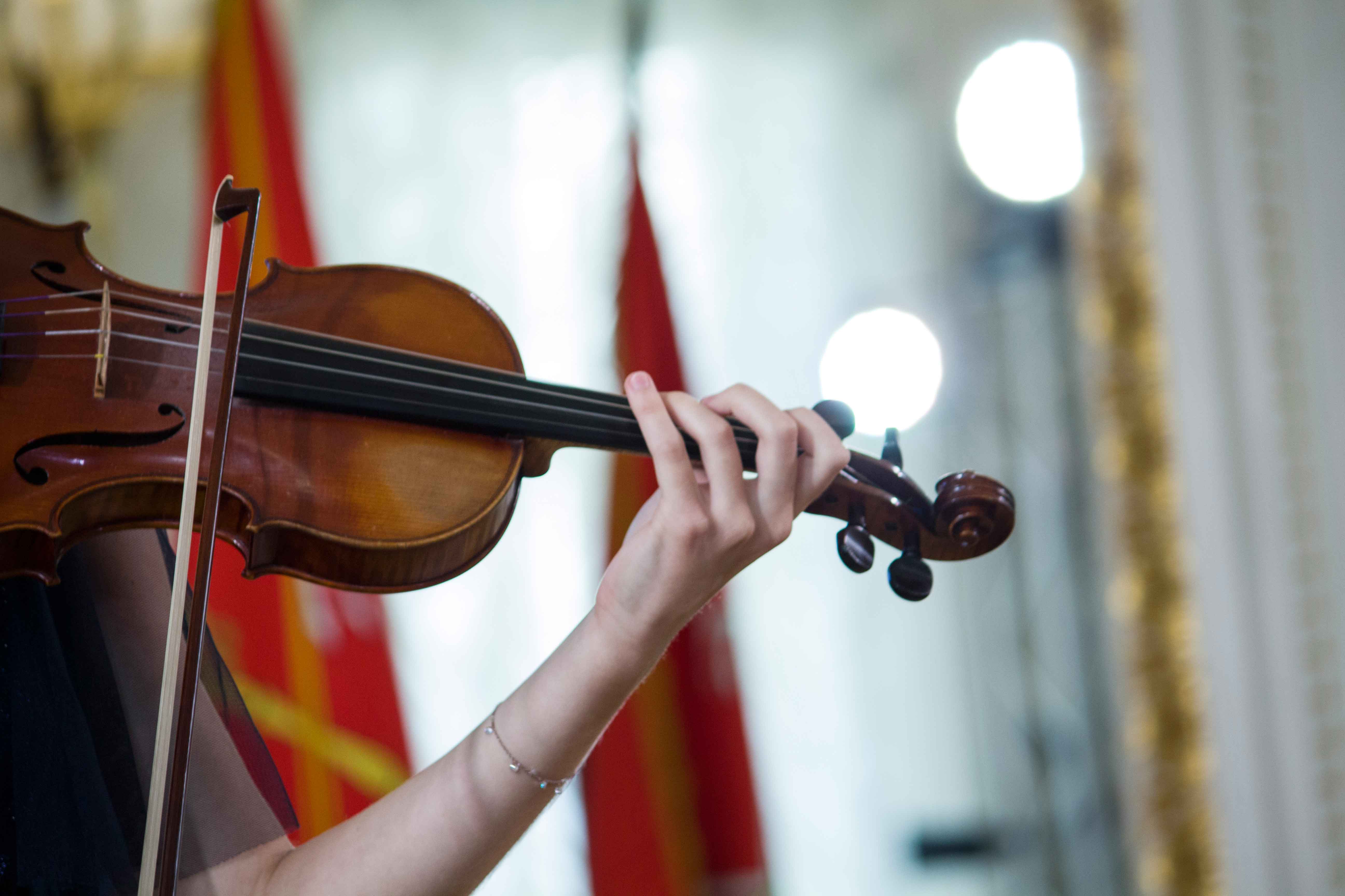 Постер для новости &laquo;Концерт в Каменностровском дворце&raquo;