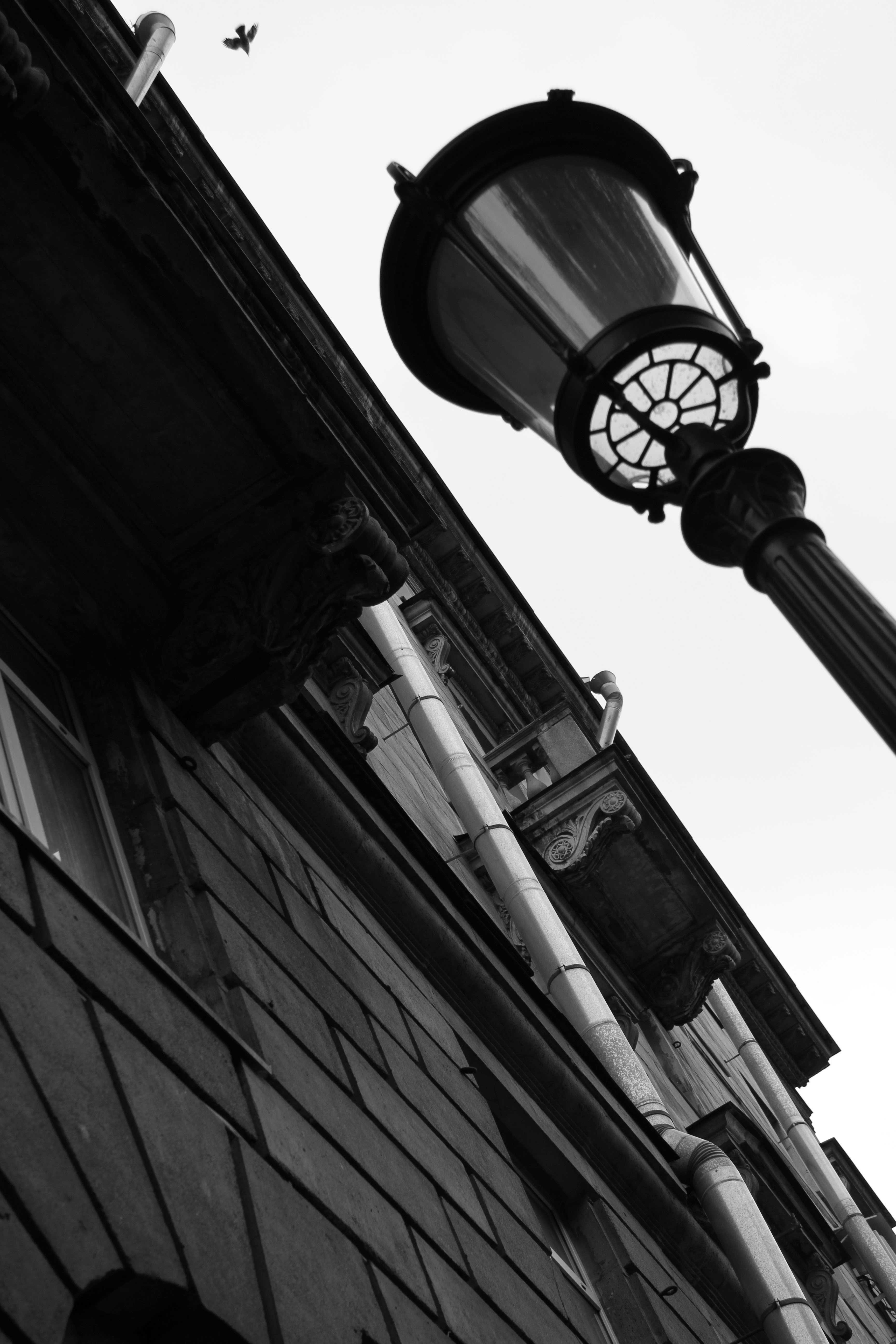 Постер для новости &laquo;Петроградка в объективе: итоги&raquo;