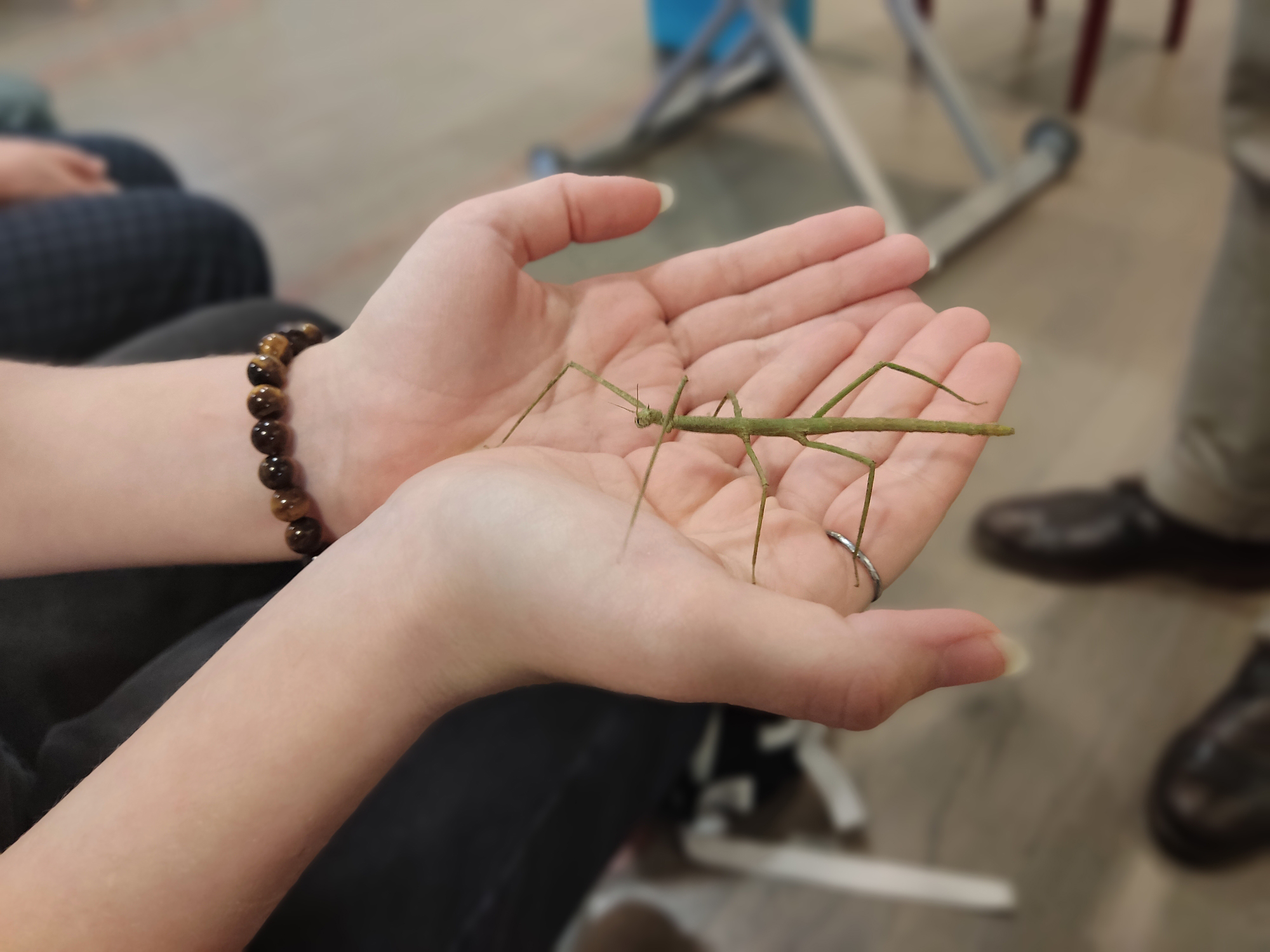 Постер для новости &laquo;Открытая лабораторная в библиотеке Кировских островов&raquo;