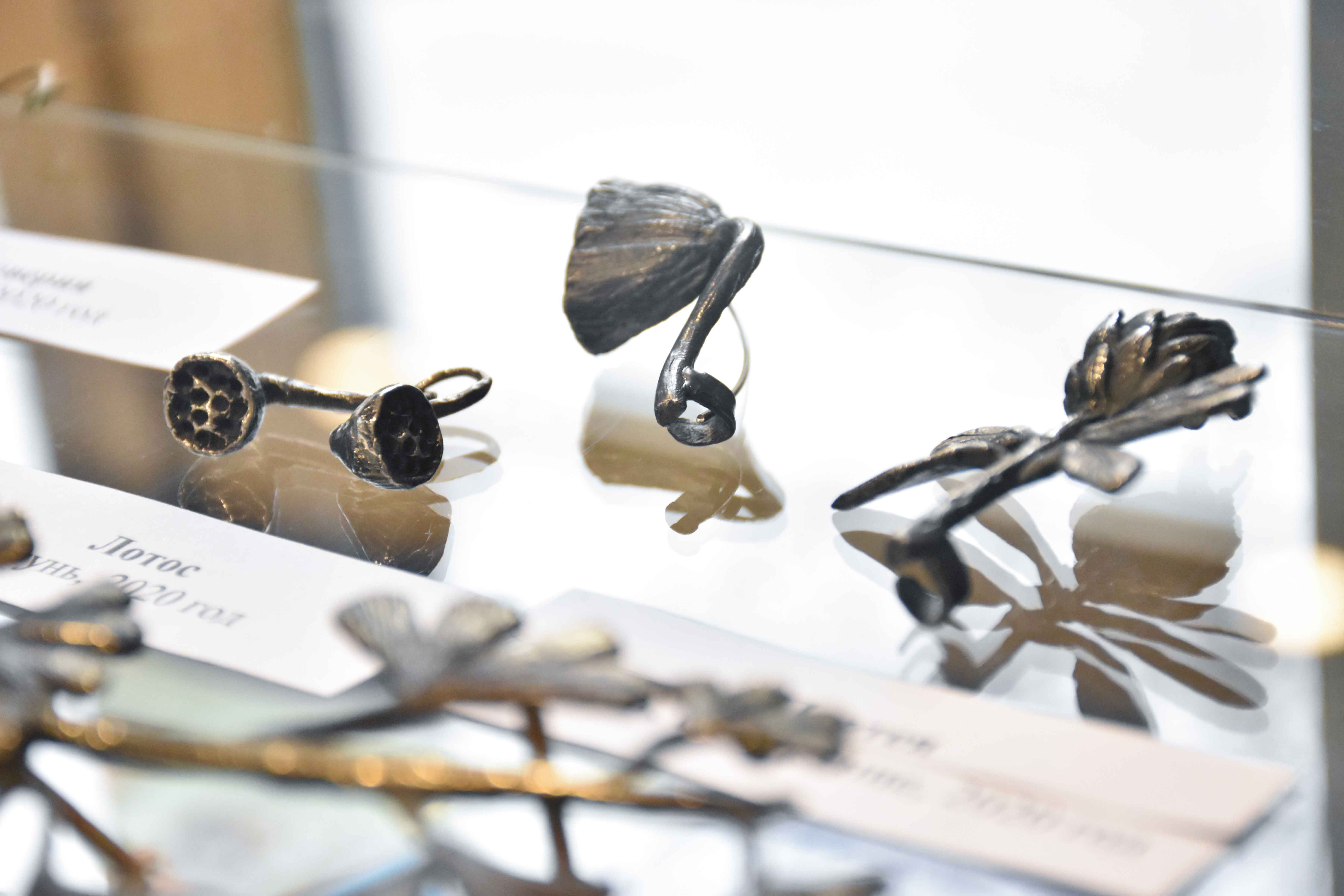 Постер для новости &laquo;В Библиотеке на Карповке открылась выставка доисторических растений&raquo;