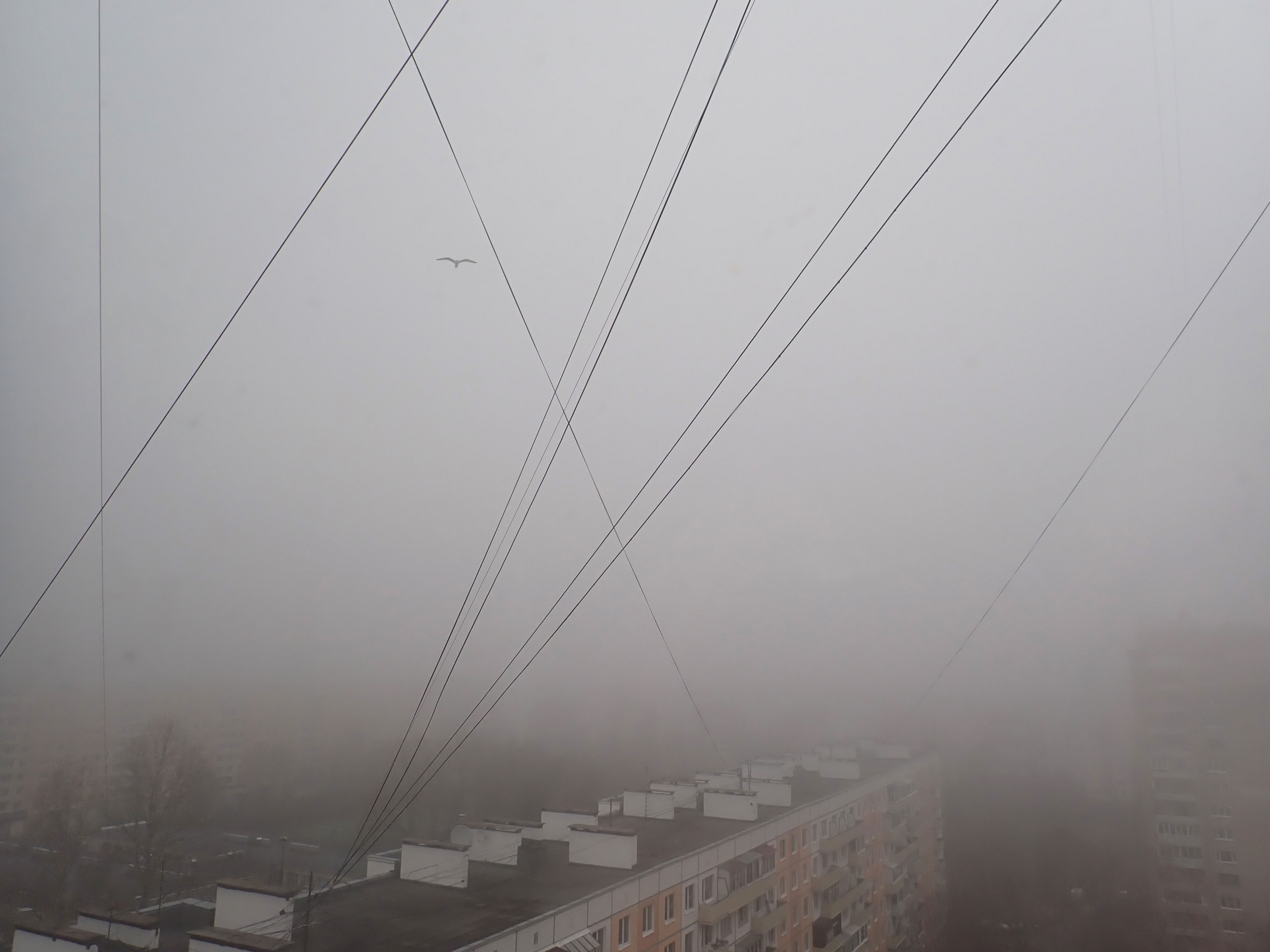 Постер для новости &laquo;Подведены итоги фотоконкурса в Библиотеке на Карповке&raquo;
