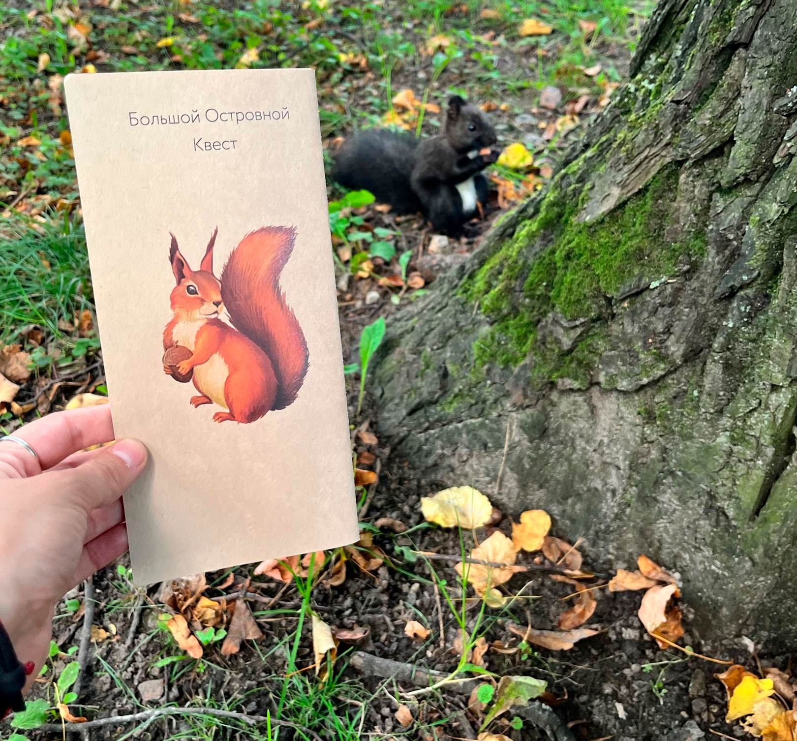 Постер для новости &laquo;На Елагином острове прошел Большой островной квест&raquo;