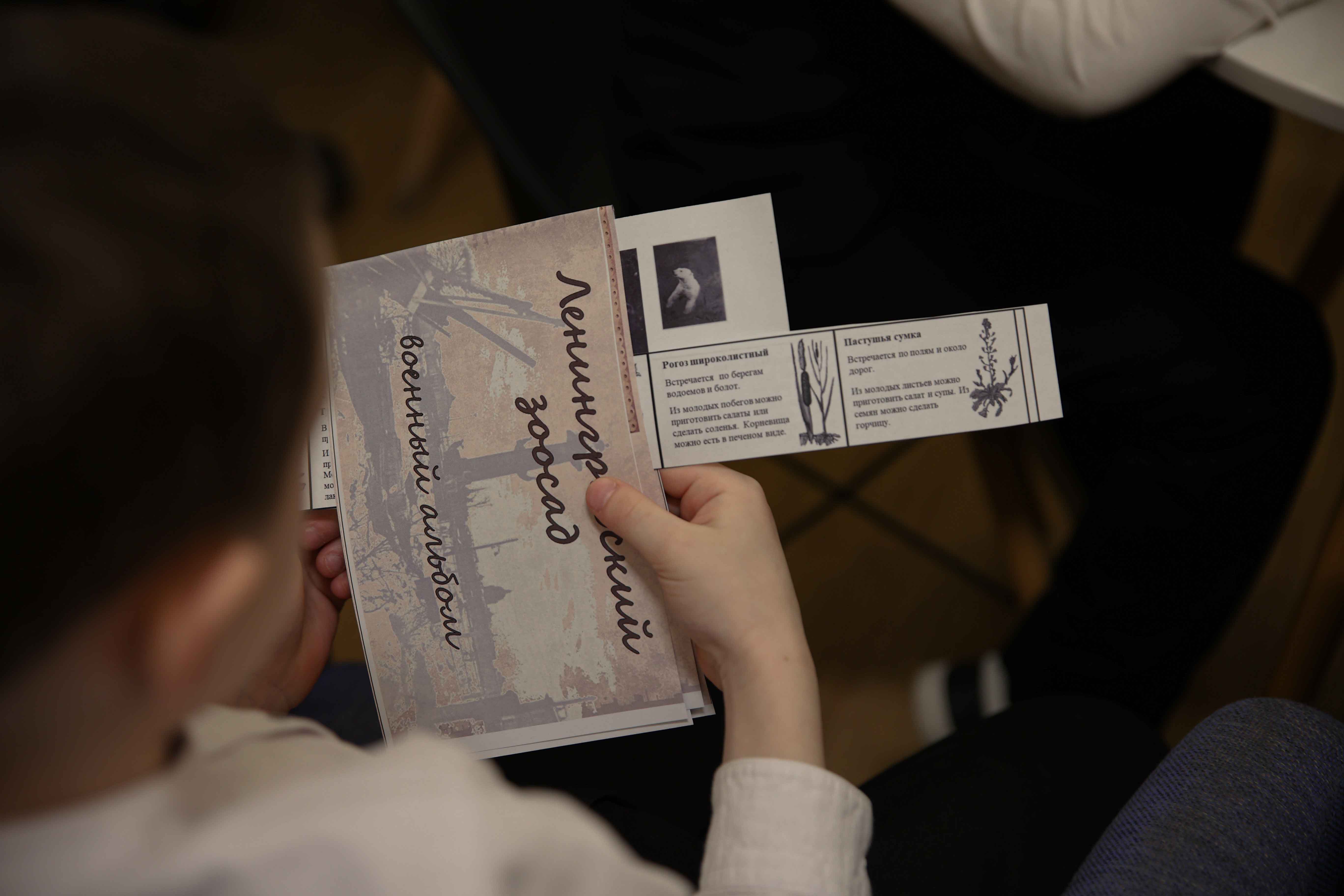 Постер для новости «Центральная районная библиотека имени А.С. Пушкина представила программу о блокаде»