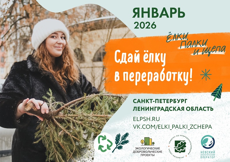 Постер для новости &laquo;Экологичная утилизация новогодних деревьев в Санкт-Петербурге&raquo;
