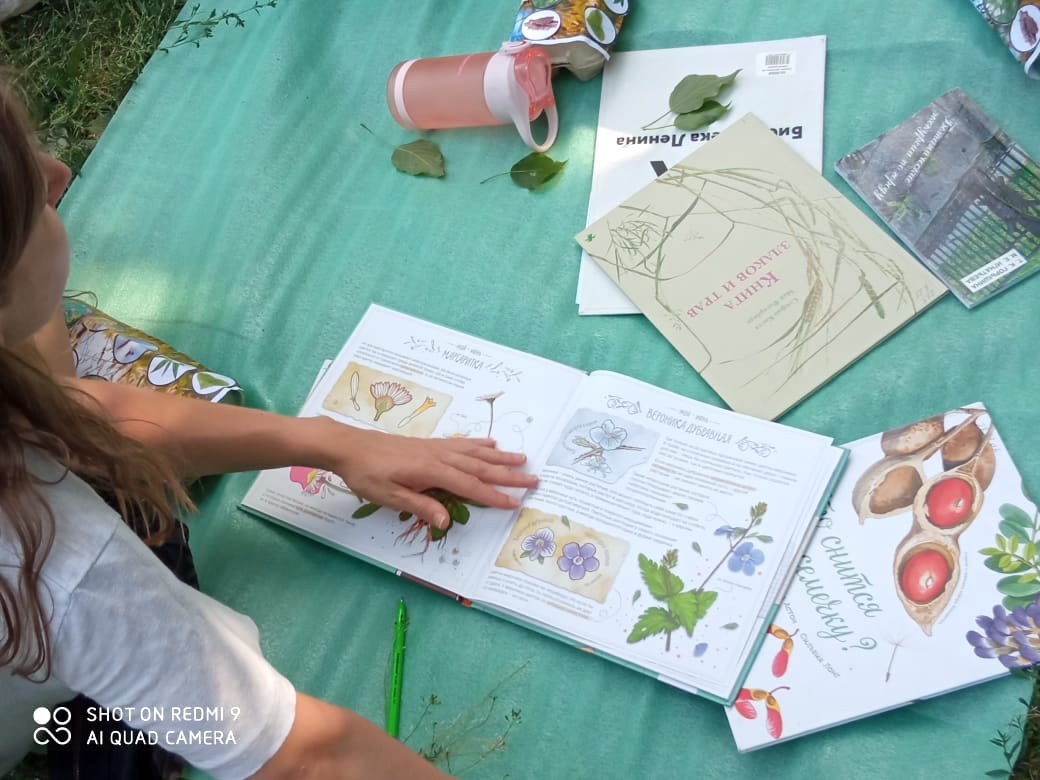 Бродилки-находилки «В поисках природных сокровищ». Игра в Матвеевском саду