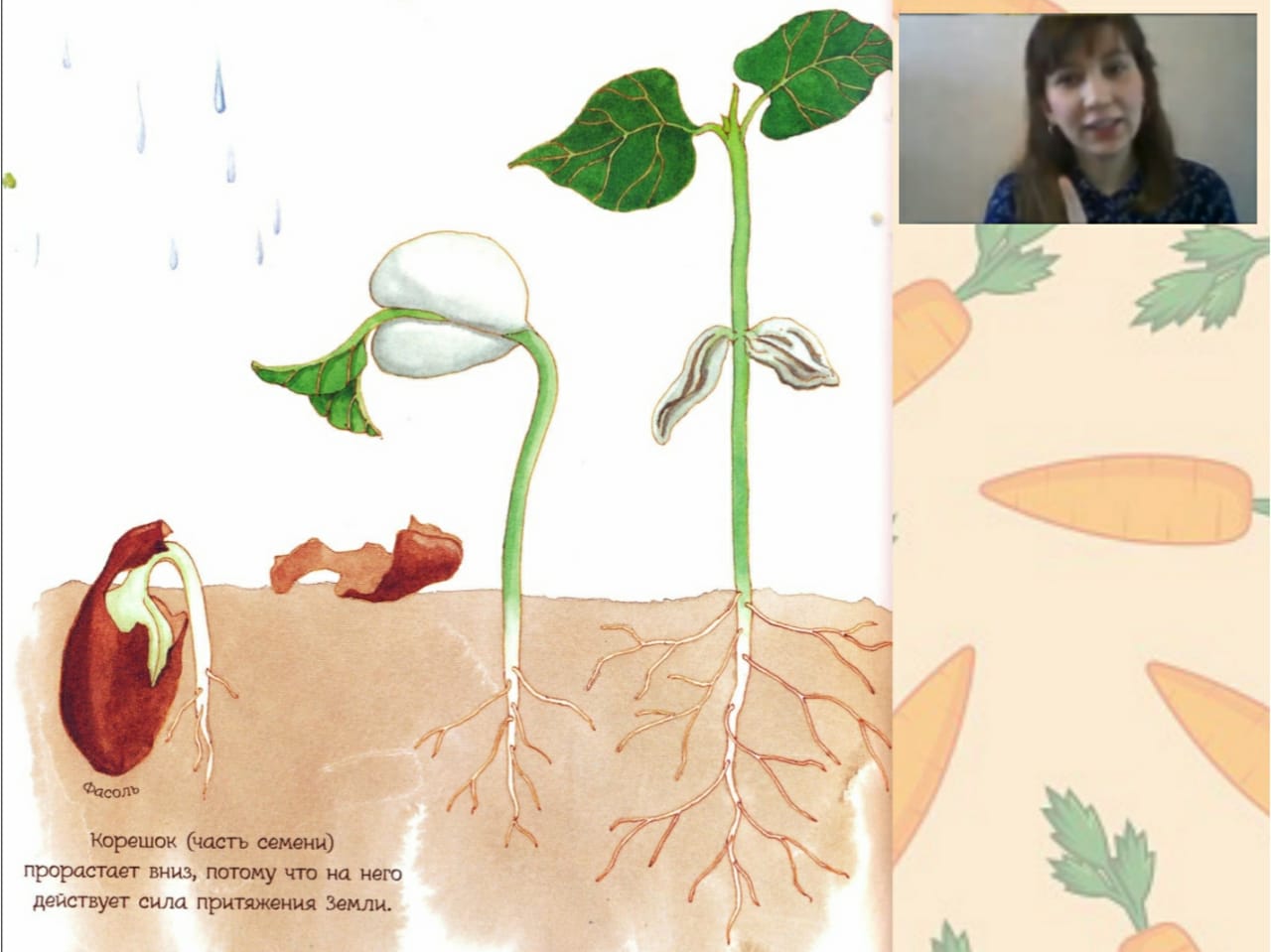 Время карантина и самоизоляции – это отличная возможность научиться чему-то новому. Так решили сотрудники Центральной детской библиотеки Петроградского района и стали изучать возможности современных технологий, позволяющих встречаться с читателями даже на расстоянии!