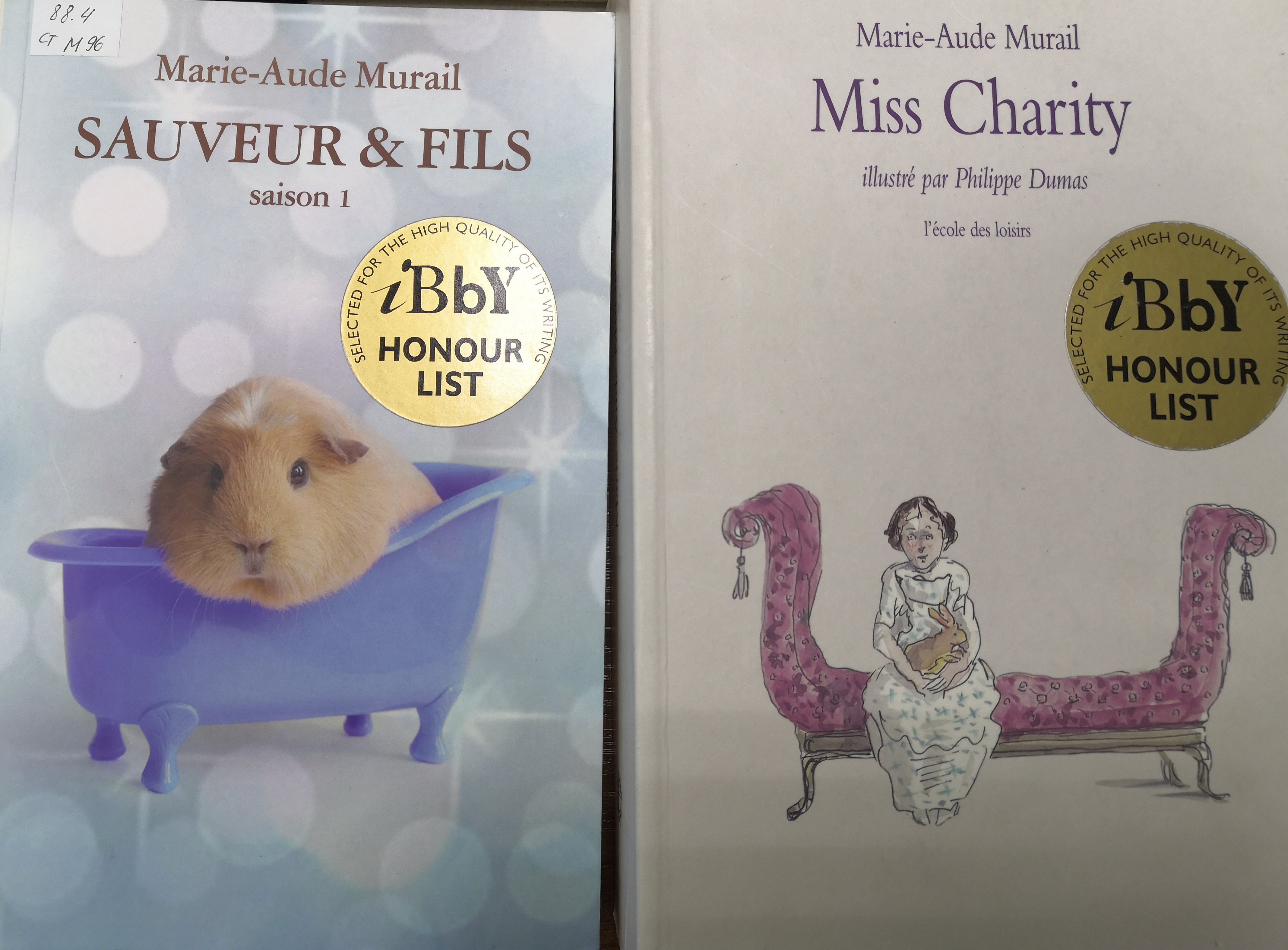 26 февраля во 2-й детской библиотеке (Татарский пер., д.1) прошёл День французской культуры «Франция: свобода, равенство, братство», который объединил в одном зале любителей детской литературы и путешествий