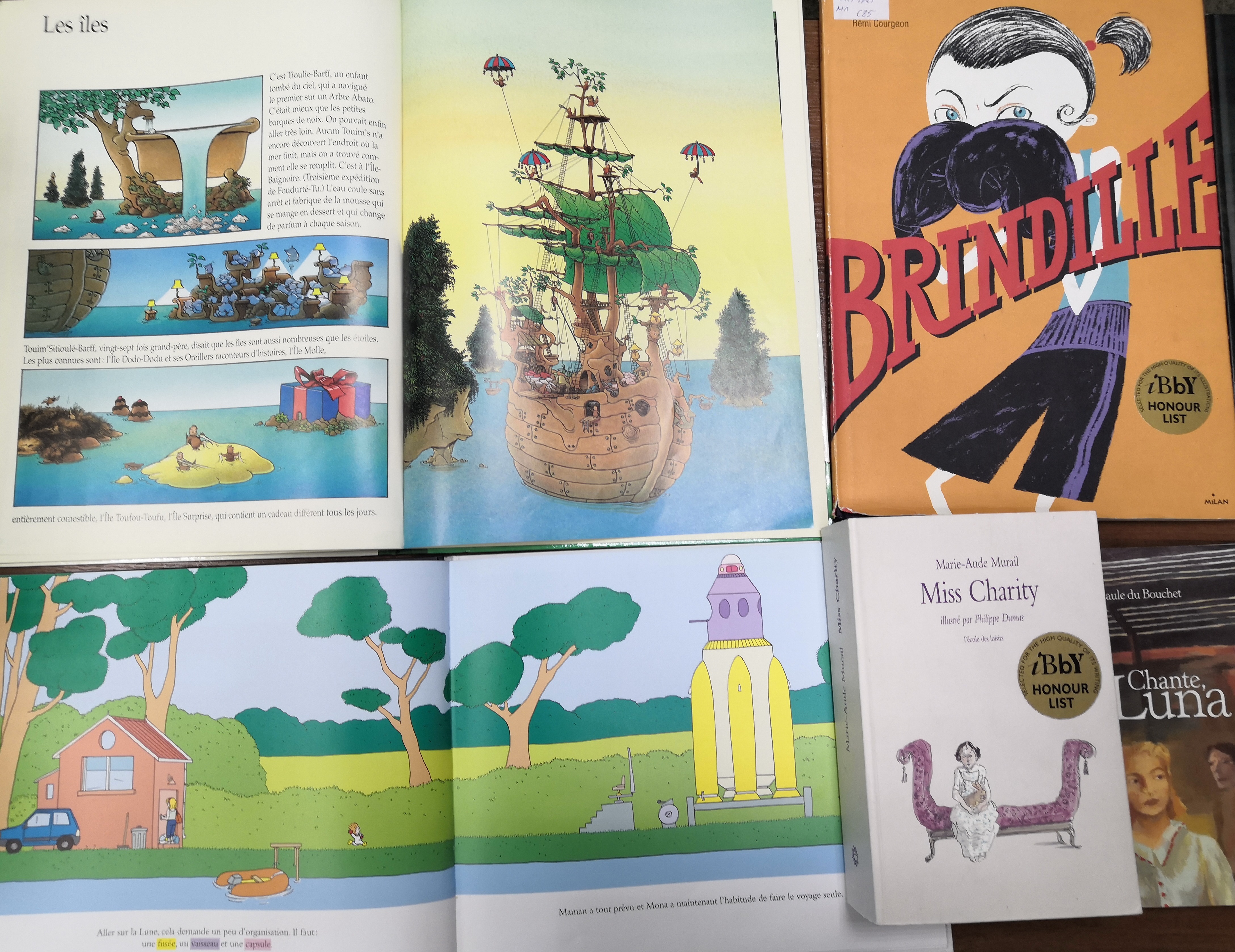 26 февраля во 2-й детской библиотеке (Татарский пер., д.1) прошёл День французской культуры «Франция: свобода, равенство, братство», который объединил в одном зале любителей детской литературы и путешествий