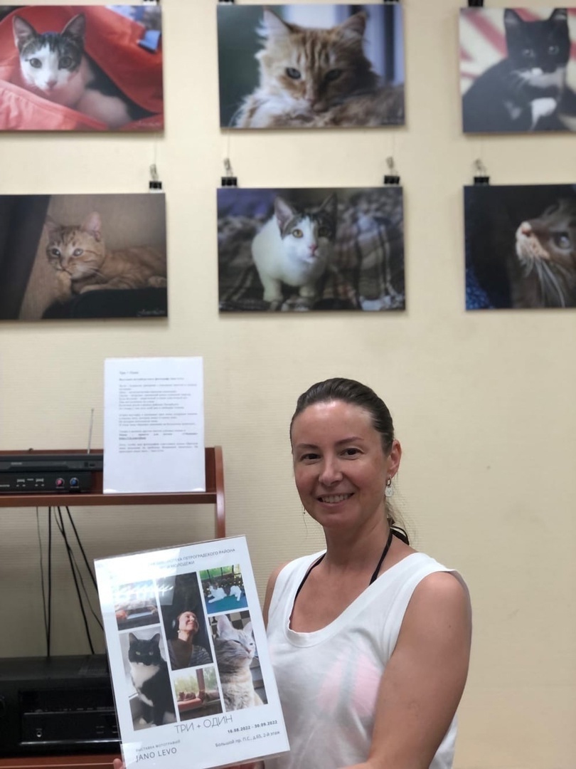 Героями фотопроекта «Три + Один» стали три кошки – Жуля, Мася, Груша и кот Кузя. Они родились на улице в разных районах Санкт-Петербурга, но благодаря заботе неравнодушных людей все четверо обрели общий дом