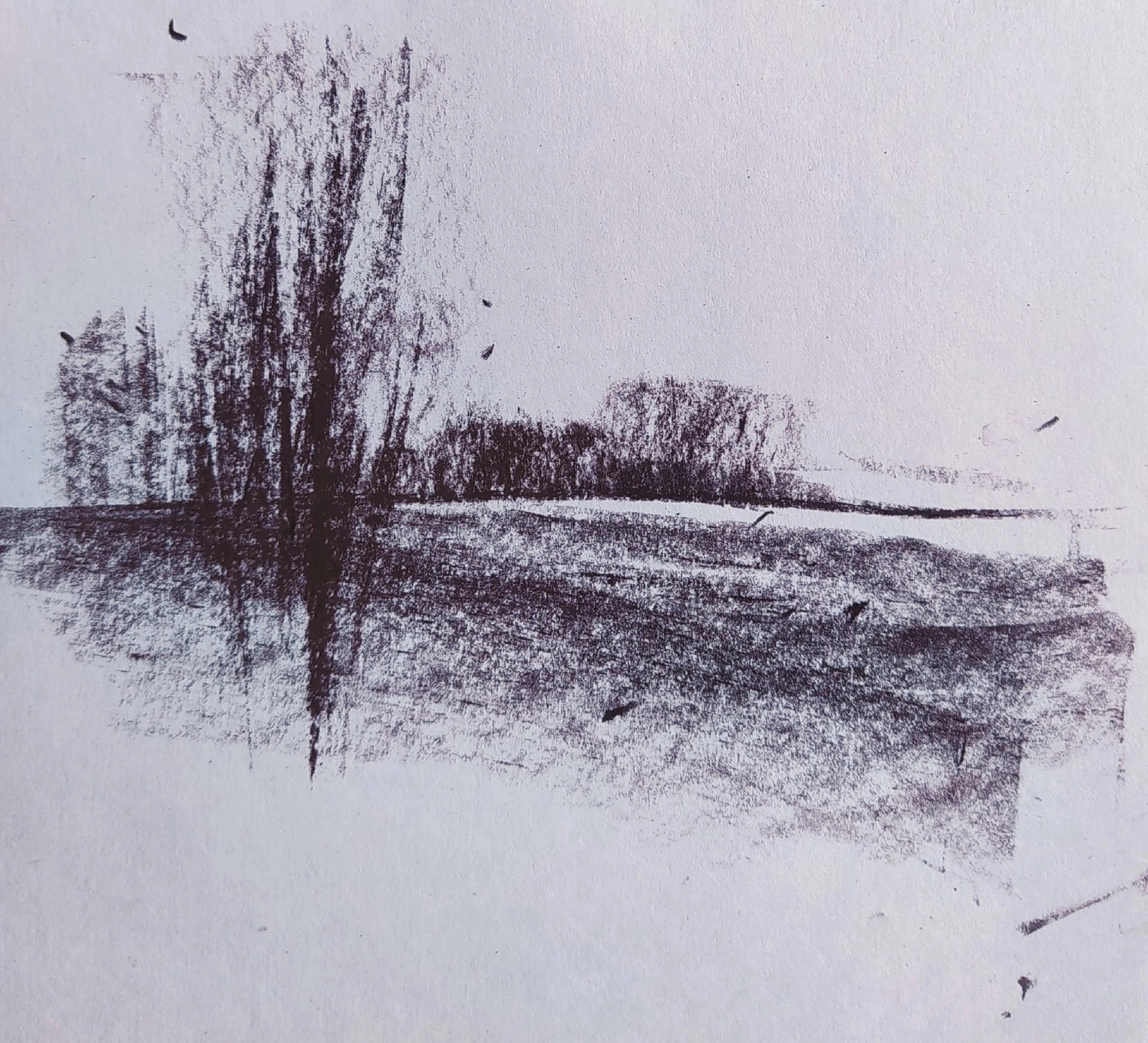 Художественная выставка