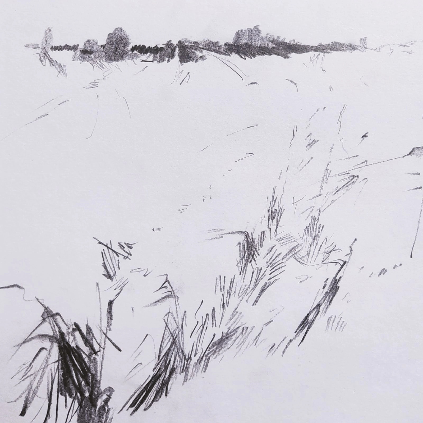 Художественная выставка