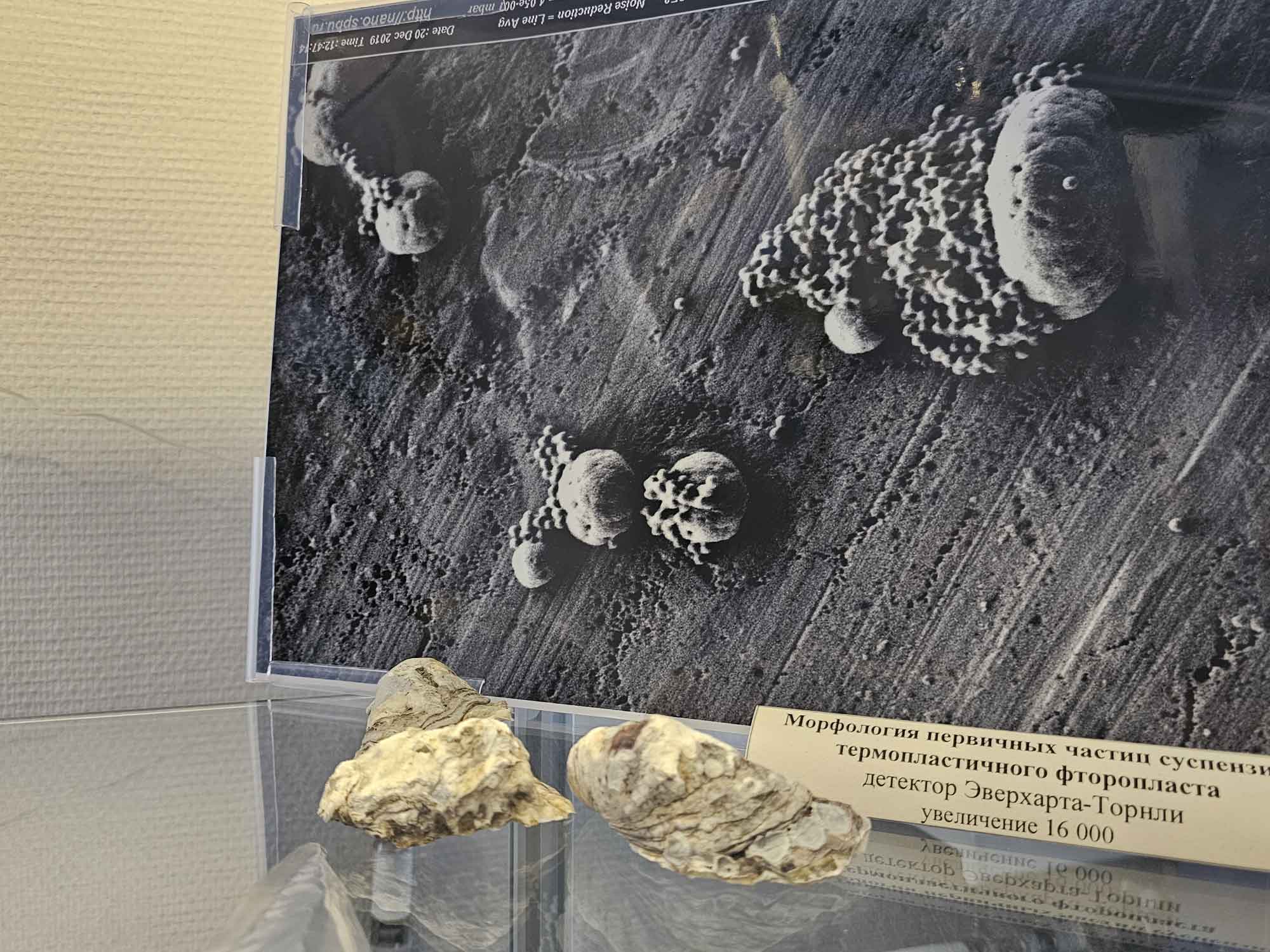 Микровселенная в библиотеке Кировских островов