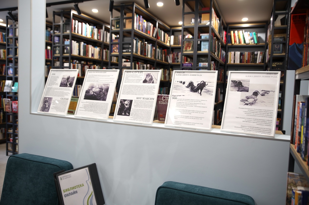 В Библиотеке на Карповке прошли интерактивные патриотические мероприятия