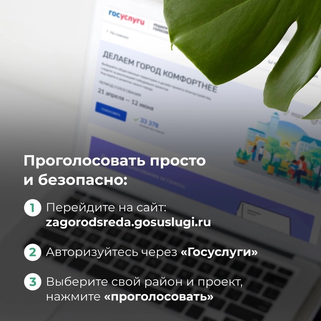 Как проголосовать за благоустройство Петроградской стороны. Инструкция