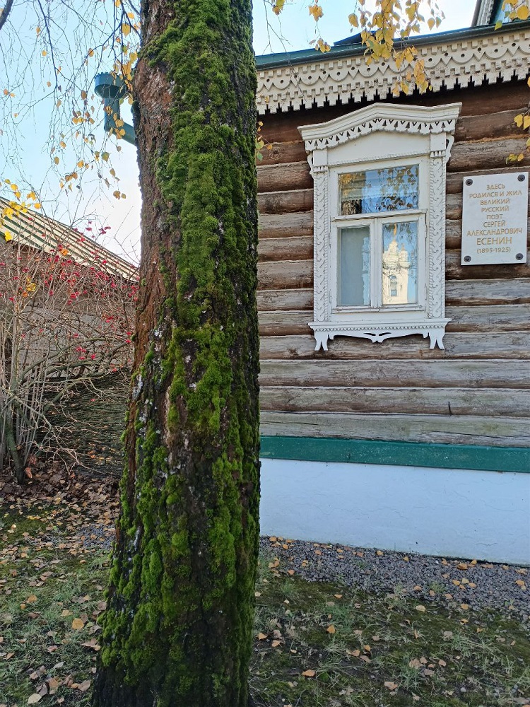 Рязань, село Константиново