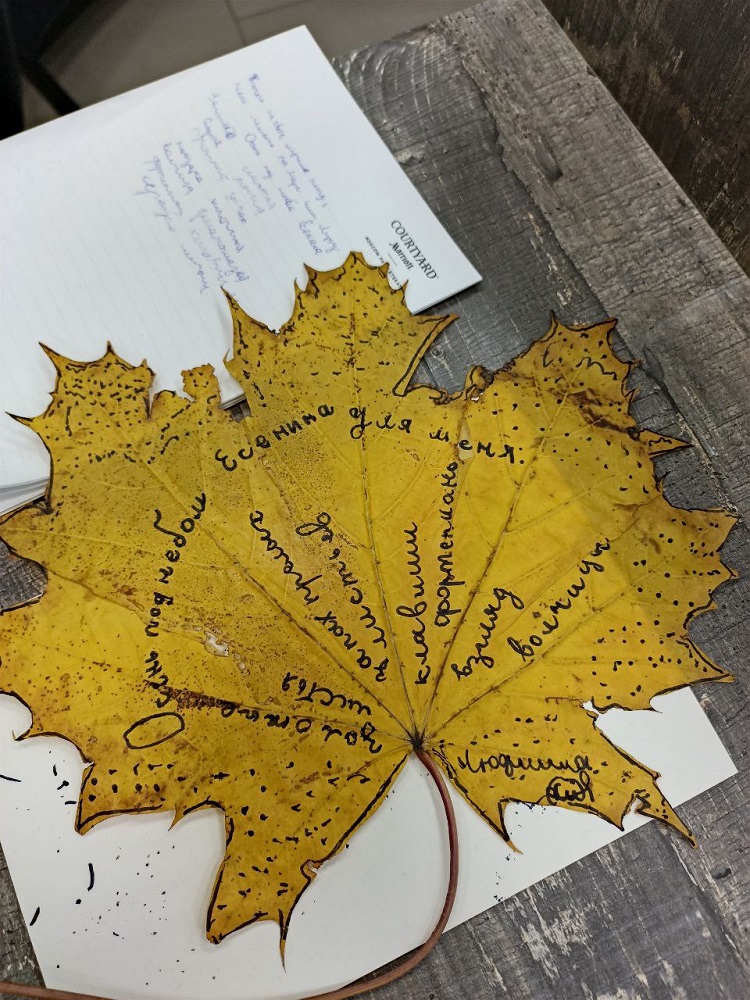 Третий всероссийский творческий слёт юных писателей и поэтов «Под небом Есенина»